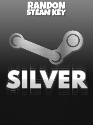 KEY SILVER - STEAM